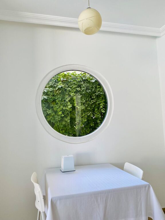 Cum să-ți reîmprospătezi locuința cu plante de interior